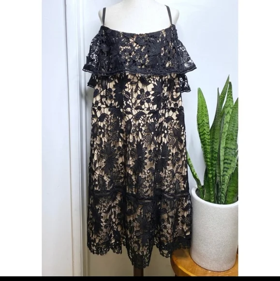 NWT CITY CHIC NUDE ILLUSION DRESS SZ. 24/XXL - Picture 5 of 5